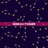 生肖猪2022下半年运势，2021猪人全年运势