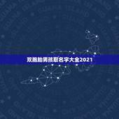 双胞胎男孩取名字大全2021，用带木字旁的成语给双胞胎女孩取名