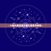 十鼠九苦还是十鼠九贵命不好吗，十鼠九苦是真的吗？
