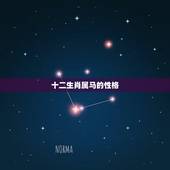 十二生肖属马的性格，属马的人有什么性格？