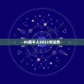 85属牛人2022年运势，1985年农历九月十八出生的整年运程