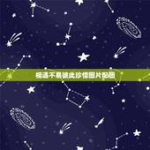 相遇不易彼此珍惜图片配图，表达相遇不易，彼此珍惜的句子有什么？