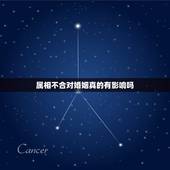 属相不合对婚姻真的有影响吗，属相不合真的不能结婚吗