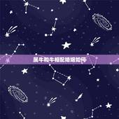属牛和牛相配婚姻如何，属牛和属虎的婚配如何