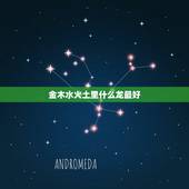 金木水火土里什么龙最好 家有龙虎是不是旺
