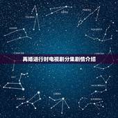 再婚进行时电视剧分集剧情介绍，再婚进行时大结局