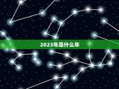 2023年是什么年，2023年黑兔年预言