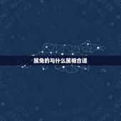 属兔的与什么属相合适，属兔的人与属什么属相最好