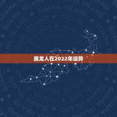 属龙人在2022年运势，2022年龙人全年运势