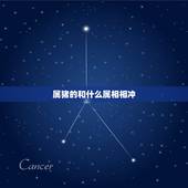 属猪的和什么属相相冲，属猪的和什么属相最配