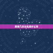 属猪几月出生是什么命，属猪几月出生好