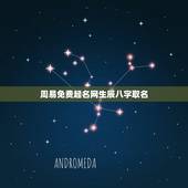 周易免费起名网生辰八字取名 免费根据生辰八字取名