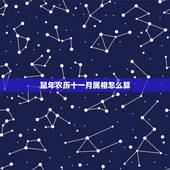 鼠年农历十一月属相怎么算，每个人的属相是怎么算的？