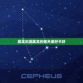 属龙的跟属龙的做夫妻好不好，两个00年属龙的结婚好吗
