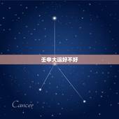 壬申大运好不好，壬申大运是水旺大运么
