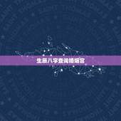 生辰八字查询婚姻宫，八字配偶宫为申