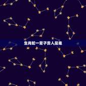 生肖蛇一辈子贵人是谁，为流传一句这样的话。属蛇的人，六亲无靠？