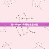男88年女81年是否合适婚配，1988年男性属龙的人和1981年女性属