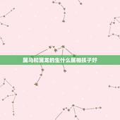 属马和属龙的生什么属相孩子好，属龙的女人和属马的男人生什么属相的孩子好