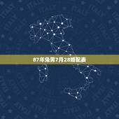 87年兔男7月28婚配表，87年属兔的和什么属相最配