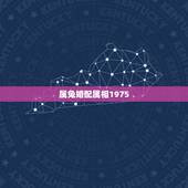 属兔婚配属相1975，1977男属蛇和女属蛇1977是否相配