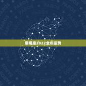 摩羯座2022全年运势，摩羯座08年运势？