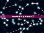 1990年多大了属什么的，1990年属什么生肖多大