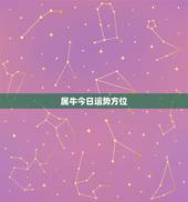 属牛今日运势方位，今天女属牛的财运方位在哪里