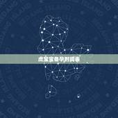 虎宝宝备孕时间表，2022年虎宝宝备孕表