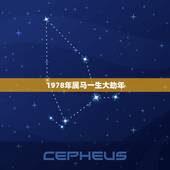1978年属马一生大劫年，1978年属马人最有利和不利年份
