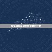 属兔和男属猪的婚配好不好女，女属猪和男属兔配吗