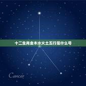十二生肖金木水火土五行是什么号，十二生肖金木水火土怎样分