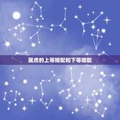 属虎的上等婚配和下等婚配，和哪个生肖配对是上等婚配