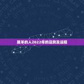 属羊的人2022年的运势及运程，属羊1979年43走大运