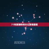 71年属猪的和什么属相最配，71年属猪的和什么属相最配 属猪的属相婚配