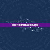 属狗二婚女婚配属猴头婚男，属猴男和属狗女相配吗
