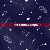 十二生肖的名字与属相婚配，和属什么生肖婚配最好