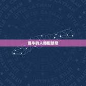属牛的人婚配禁忌，属牛的和什么属相最配