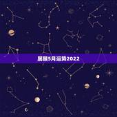 属猴5月运势2022，68年属猴2021年运势及运程每月运程
