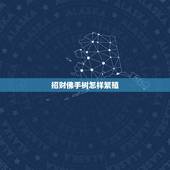 招财佛手树怎样繁殖，佛手的扦插法繁殖是怎样的？