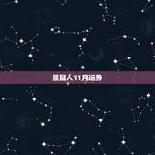 属鼠人11月运势，十一月属鼠的人命好么？