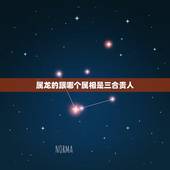 属龙的跟哪个属相是三合贵人，问生肖的三合和贵人
