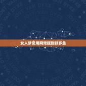 女人梦见用网兜捉到好多鱼，梦见自己路过一水坑很多鱼回家拿网兜