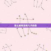 怎么看有没有儿子的命，为什么有的人没有儿子的命