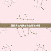 属鼠男生与属蛇女生婚配好吗，属鼠的男生和属蛇的女生可以结婚吗？