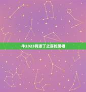 牛2023有添丁之喜的属相，2022年必有添丁之喜的生肖
