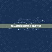 属马和属相狗的做干亲适合吗，儿子属马认哪个属相的干妈好