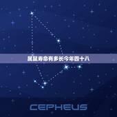 属鼠寿命有多长今年四十八，属羊的是哪一年出生的