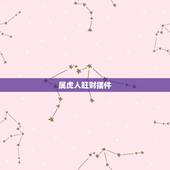 属虎人旺财摆件，属虎车里适合什么摆件