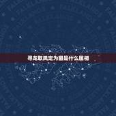 寻龙取凤定为窗是什么属相，寻龙取凤定为窗，知我辫机大家庭。这句话是啥意